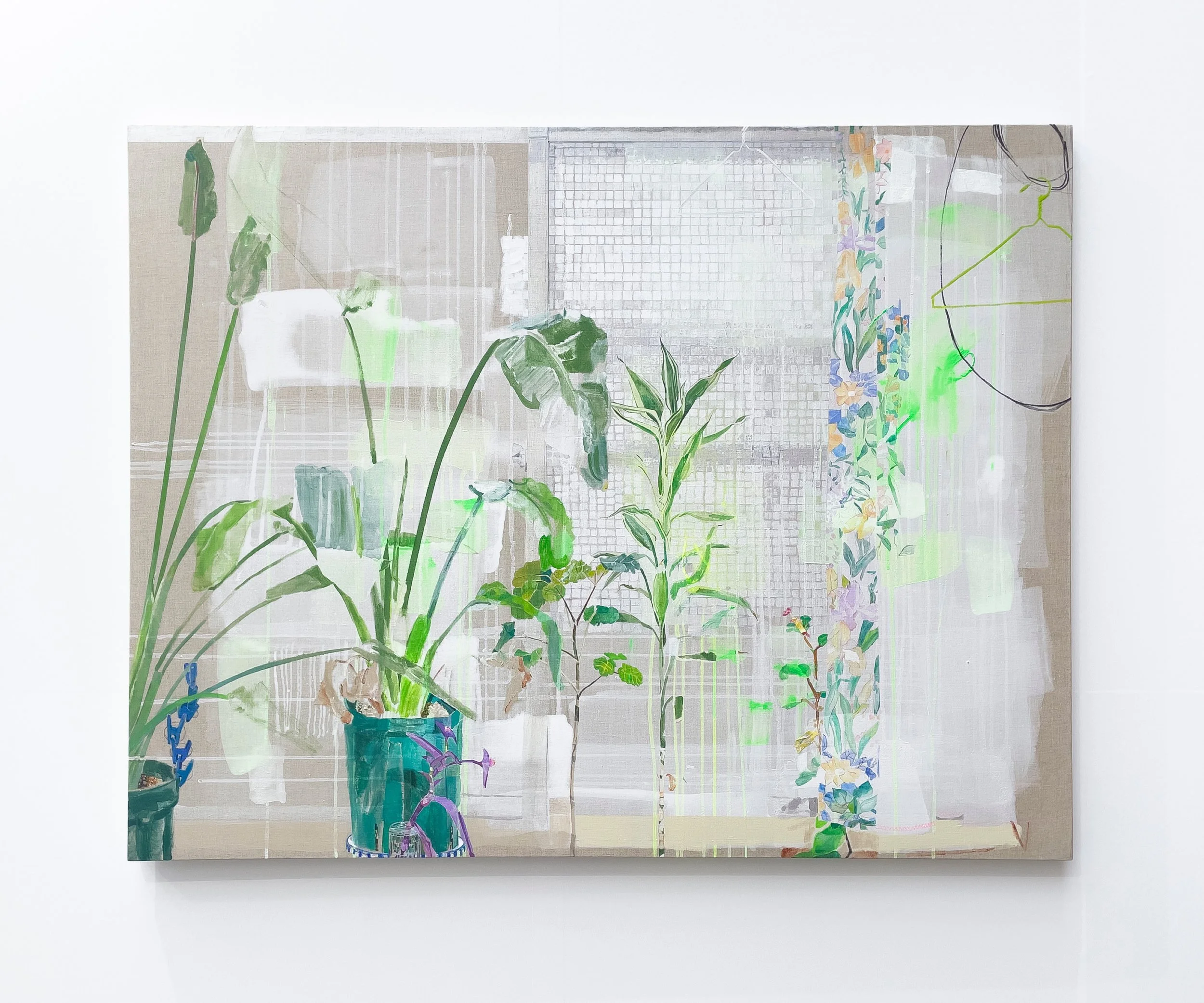 Nao Hayashi 2024 — CLEAR GALLERY TOKYO